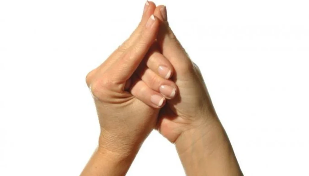 Shell Hand Pose (Shanka Mudra) pose