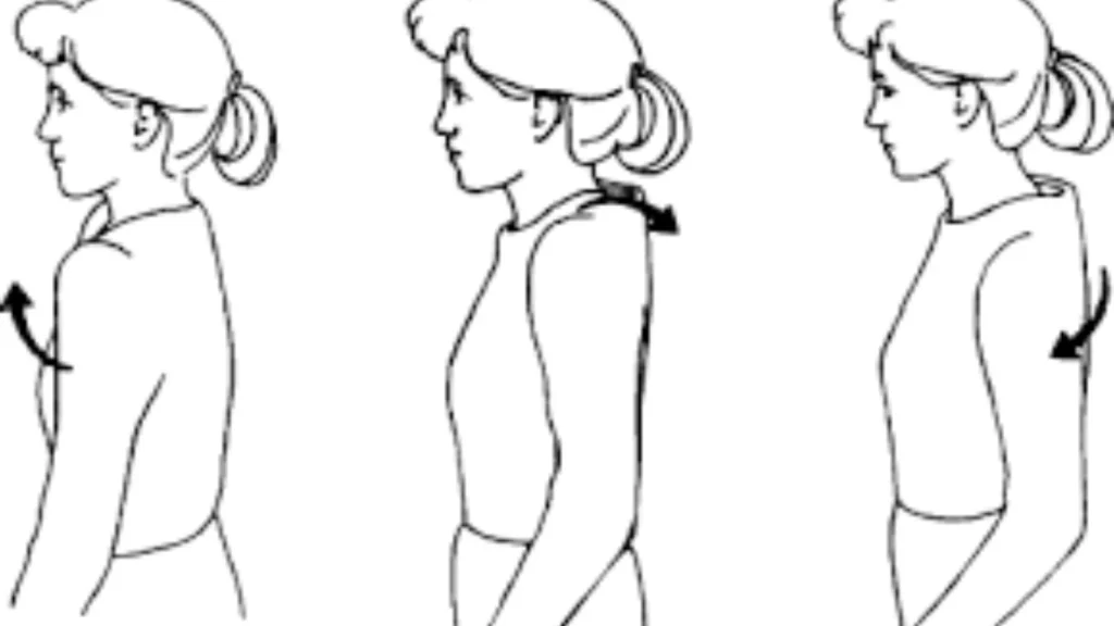 there is a animatic pic about the shoulder rolls