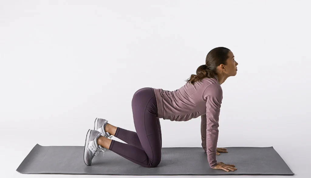 A lady performs a somatic cat cow pose