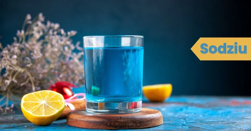 Sodziu as a Fermented Drink: Recipe, Variations & Benefits